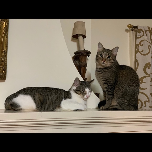 Meet your Posher, D - Picture 3 of 7